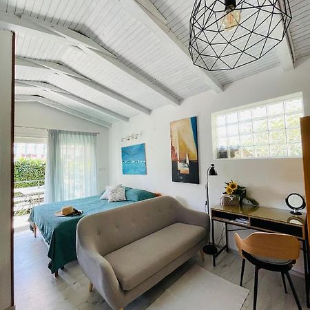 Pasiflora Studio Novigrad  ภายนอก รูปภาพ