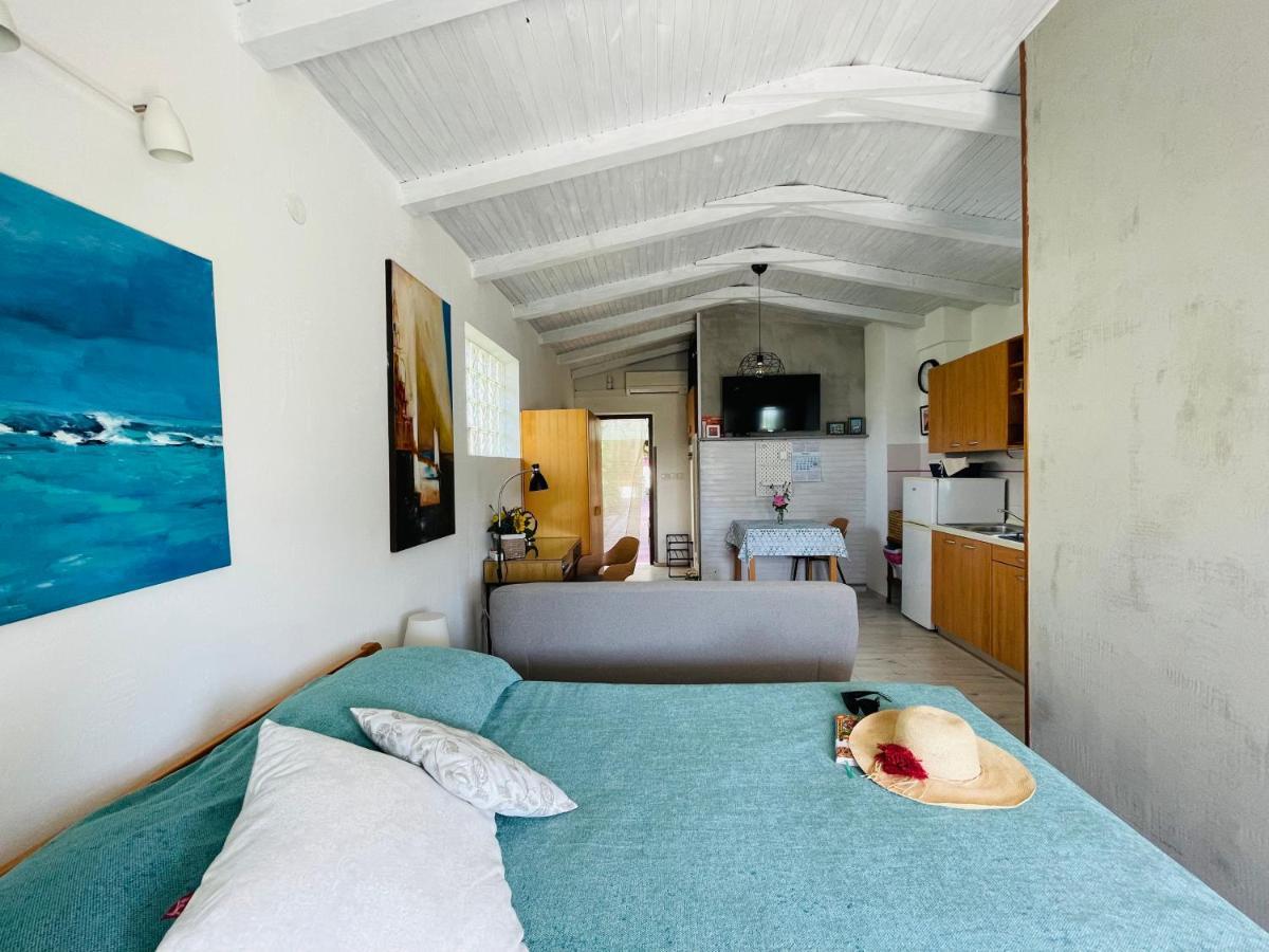 Pasiflora Studio Novigrad  ภายนอก รูปภาพ