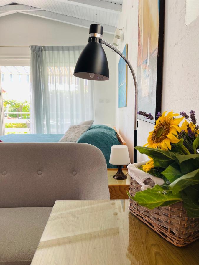 Pasiflora Studio Novigrad  ภายนอก รูปภาพ