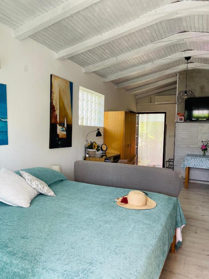 Pasiflora Studio Novigrad  ภายนอก รูปภาพ
